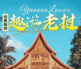 【趣游老撾 · 經(jīng)典版納】—昆明、普洱、西雙版納、磨丁、瑯勃拉邦四動8日游